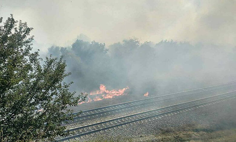 В Витовском районе пылают масштабные пожары на открытой территории - горят трава и деревья | Корабелов.ИНФО