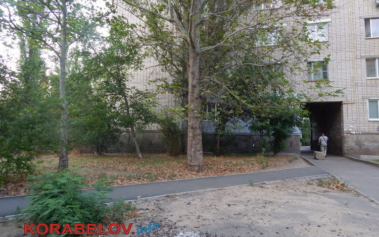 Дерзкое преступление: разбойное нападение средь бела дня в Корабельном районе | Корабелов.ИНФО