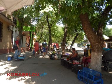 "Не важны мне их запреты!" - на стихийных рынках в Корабельном спокойно продают всё подряд, в том числе и рыбу | Корабелов.ИНФО image 10