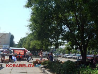 "Не важны мне их запреты!" - на стихийных рынках в Корабельном спокойно продают всё подряд, в том числе и рыбу | Корабелов.ИНФО image 8