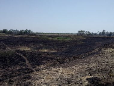 Кількість пожеж б'є усі рекорди. За минулу добу лише у Вітовському районі їх сталося 10, у Миколаєві - 5 | Корабелов.ИНФО image 4