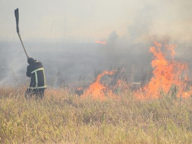 Кількість пожеж б'є усі рекорди. За минулу добу лише у Вітовському районі їх сталося 10, у Миколаєві - 5 | Корабелов.ИНФО image 2