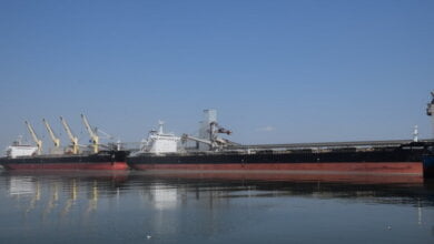 «Ника-Тера» увеличила грузооборот на 48% и впервые провела одновременную загрузку двух судов типа Panamax | Корабелов.ИНФО image 3