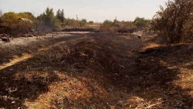 Кількість пожеж б'є усі рекорди. За минулу добу лише у Вітовському районі їх сталося 10, у Миколаєві - 5 | Корабелов.ИНФО image 1