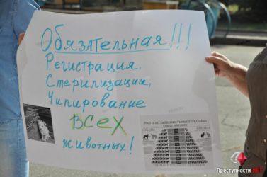Зоозащитники вышли под здание Николаевского горсовета с митингом против применения эвтаназии к собакам (ВИДЕО) | Корабелов.ИНФО image 7