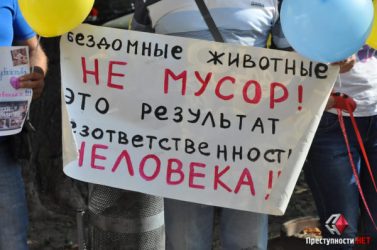 Зоозащитники вышли под здание Николаевского горсовета с митингом против применения эвтаназии к собакам (ВИДЕО) | Корабелов.ИНФО image 1