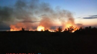 Масштабный пожар на пустыре возле спецморпорта "Ольвия" (ВИДЕО) | Корабелов.ИНФО