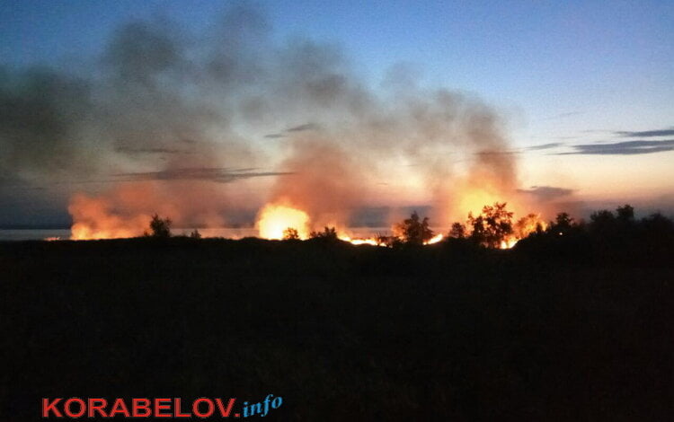Масштабный пожар на пустыре возле спецморпорта "Ольвия" (ВИДЕО) | Корабелов.ИНФО