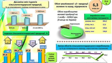 Николаевская область по объемам сельхозпроизводства оказалась на четвертом месте в Украине | Корабелов.ИНФО
