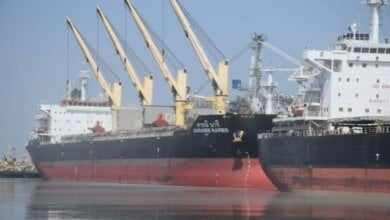 Порт "Ника-Тера" увеличил грузооборот и количество обработанных крупнотоннажных судов | Корабелов.ИНФО образ 2