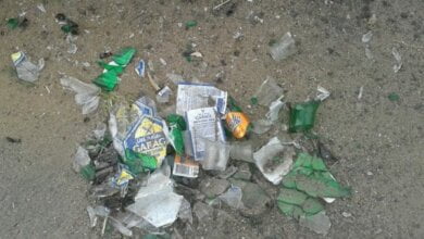 "Неужели при организации праздника не были запланированы уборка и вывоз мусора?", - жительница Корабельного | Корабелов.ИНФО образ 8