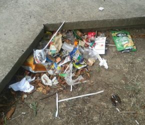 "Неужели при организации праздника не были запланированы уборка и вывоз мусора?", - жительница Корабельного | Корабелов.ИНФО image 2