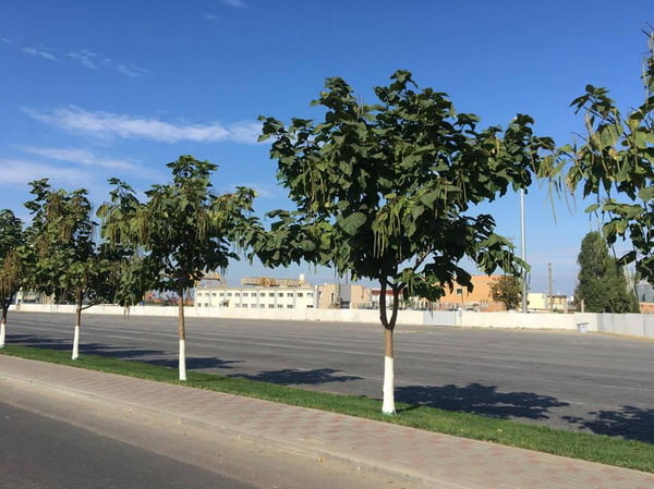 "Фуры" с проспекта в Корабельном районе к концу дня пообещали убрать | Корабелов.ИНФО image 2