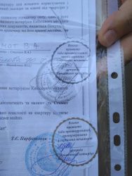 "В городе давно действует эта схема"... Квартиру на пр. Богоявленском, в которой умерли хозяева, "продали" за 200 000 грн | Корабелов.ИНФО image 6