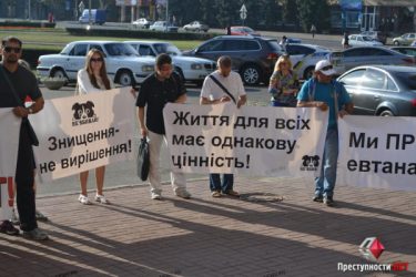 Зоозащитники снова пикетировали заседание Николаевского исполкома | Корабелов.ИНФО образ 1