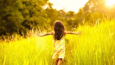 Лето продолжается: завтра в Николаеве синоптики обещают до +30˚ | Корабелов.ИНФО