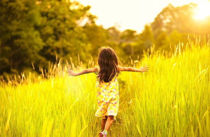 Лето продолжается: завтра в Николаеве синоптики обещают до +30˚ | Корабелов.ИНФО