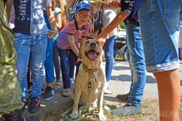 Первый заработок, масса эмоций... Дети от 2-х лет в Николаеве выбирали себе будущую работу на фестивале «Місто професій» | Корабелов.ИНФО image 7