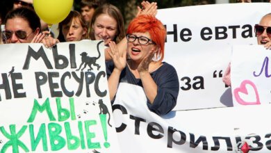 «Нет зоофашистам» - в Николаеве митинговали против усыпления бездомных собак | Корабелов.ИНФО image 5