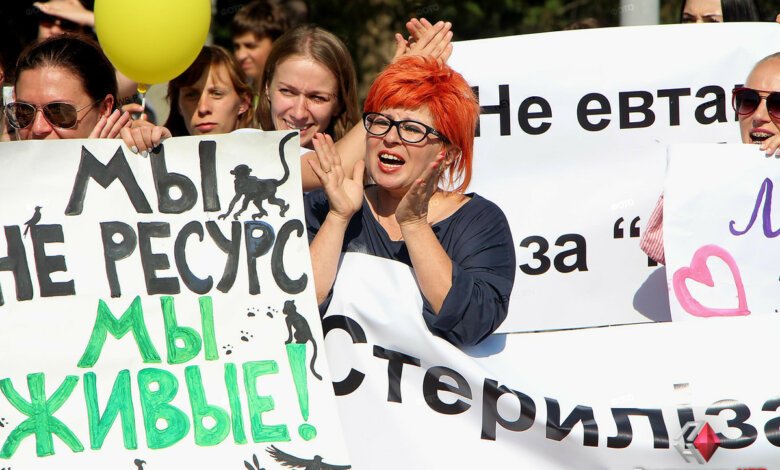 «Нет зоофашистам» - в Николаеве митинговали против усыпления бездомных собак | Корабелов.ИНФО image 5