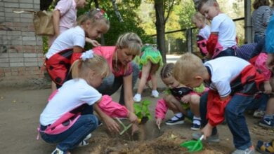 Преодолели препятствия, разгадали загадки и посадили деревья: малыши Корабельного района участвовали в экологической акции | Корабелов.ИНФО image 8