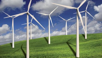 Китайцы хотят построить на Николаевщине крупнейшую ветровую электростанцию в Восточной Европе | Корабелов.ИНФО