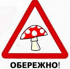 "Ядовитые грибы очень опасны", - спасатели Корабельного райотдела предупреждают об опасности | Корабелов.ИНФО image 1