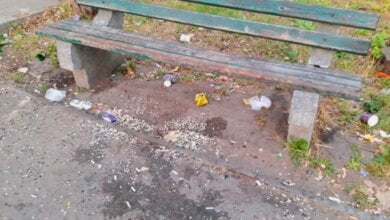 "Какое убожество", - житель Корабельного района предлагает гнать чиновников с их мест: "Пусть лопатами поработают"| Корабелов.ИНФО образ 1