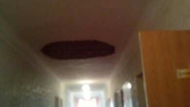 Во время занятий рухнул потолок с люстрой в школе Корабельного района | Корабелов.ИНФО