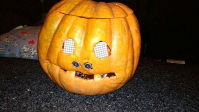 Говорящая тыква изобретателя из Корабельного района заняла второе место на конкурсе в "Сказке"  (ВИДЕО) | Корабелов.ИНФО