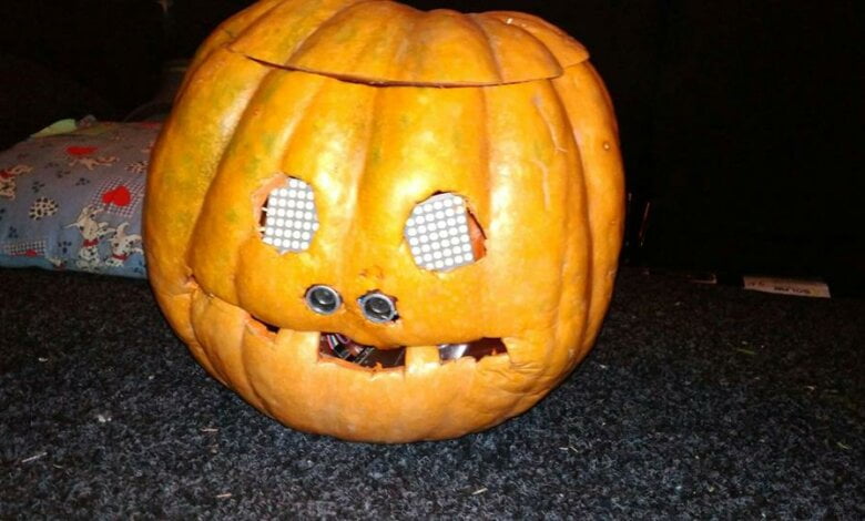 Говорящая тыква изобретателя из Корабельного района заняла второе место на конкурсе в "Сказке"  (ВИДЕО) | Корабелов.ИНФО