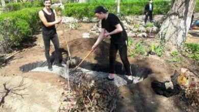 Гимназисты Корабельного района победили в городском конкурсе и получили сертификат на 10 тысяч гривен | Корабелов.ИНФО image 12