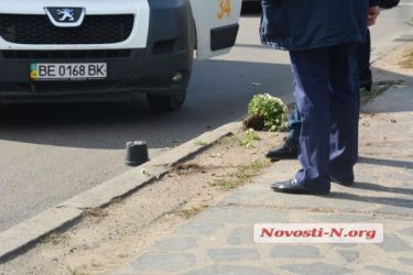 В центре Николаева "БМВ" на литовских номерах сбил женщину на "зебре" | Корабелов.ИНФО image 5