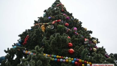 Горсовет Николаева купил у одесских предпринимателей новогоднюю елку почти за 3 миллиона гривен | Корабелов.ИНФО