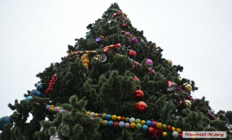 Горсовет Николаева купил у одесских предпринимателей новогоднюю елку почти за 3 миллиона гривен | Корабелов.ИНФО