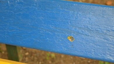 "У него крышу снесло": в Николаеве парень стрелял в девушку, которая его бросила | Корабелов.ИНФО image 4