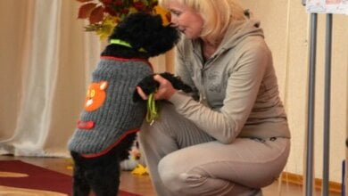 Любить и защищаться от бездомных собак учили малышей в Корабельном районе | Корабелов.ИНФО образ 8