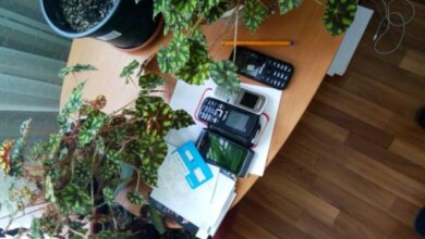 Кіберполіцейські у Миколаєві викрили злочинну схему Інтернет-шахраїв, які ошукали багатьох мешканців регіону | Корабелов.ИНФО