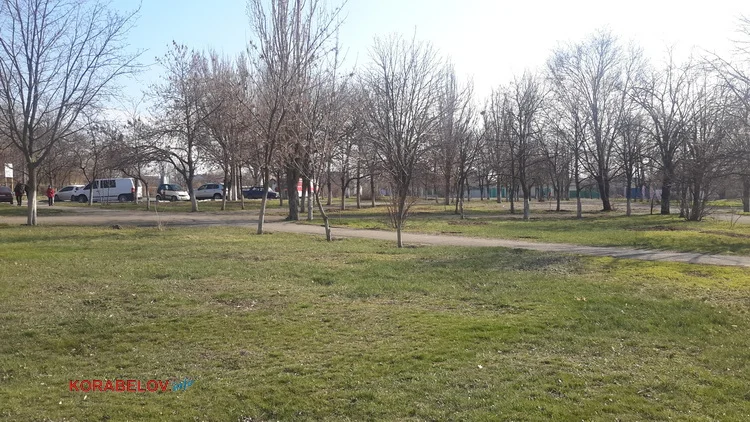 Проверьте: в 11 зеленых зонах в Корабельном районе работники ЖКХ должны убирать до 4 раз в неделю | Корабелов.ИНФО image 3