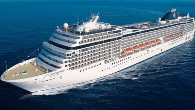 Николаевский университет начинает подготовку персонала для престижной круизной компании | Корабелов.ИНФО image 4