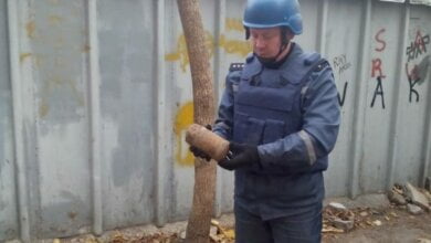 Під час земельних робіт у селі Лимани чоловік знайшов мінометну міну | Корабелов.ИНФО image 2