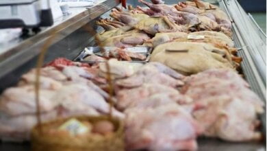 Украина увеличила экспорт мяса в полтора раза | Корабелов.ИНФО