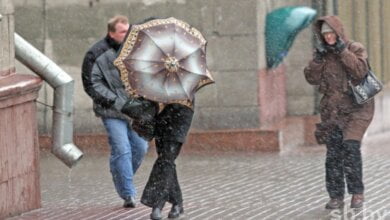 Начало зимы в Николаеве: ветер до 22 м/с и дожди | Корабелов.ИНФО