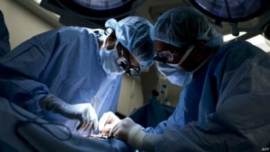 Трьох українських підлітків намагалися незаконно вивезти до Росії як донорів органів (відео) | Корабелов.ИНФО