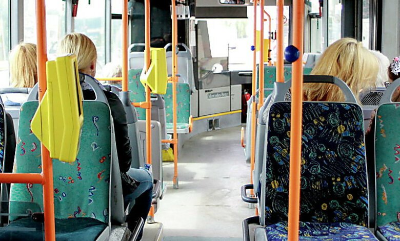 Николаевец в Литве нелегально подрабатывал «маршрутчиком» и получал по 2,5 тысячи евро в день | Корабелов.ИНФО