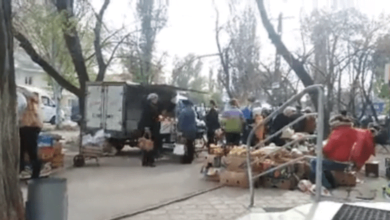 Торговое автобыдло: в Корабельном районе машина заехала "по клумбам прямо на середину придомового скверика" (видео) | Корабелов.ИНФО