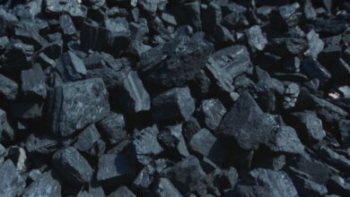 Рекордно дорогой уголь от террористов ОРДЛО закупили в Витовской райадминистрации | Корабелов.ИНФО image 2