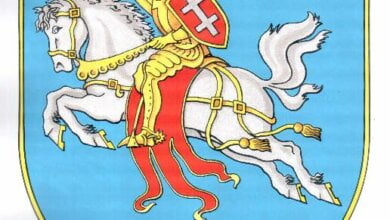 Всадник в рыцарских латах на коне и с мечом: у Витовского района - новый герб | Корабелов.ИНФО image 1