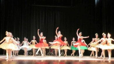 Школа мистецтв, розташована в Корабельному районі, посіла перше місце на конкурсі «Школа року-2017» | Корабелов.ИНФО image 3