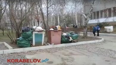 С территории школы в Корабельном районе уже около двух недель не вывозится мусор (ВИДЕО) | Корабелов.ИНФО